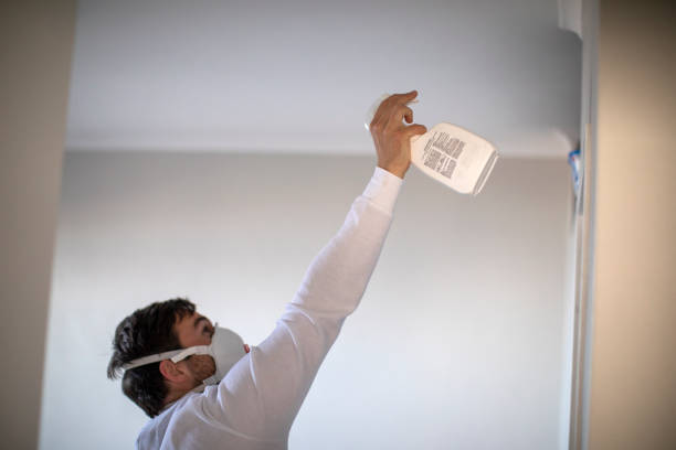 Best Fast Mold Removal  in Afton, WY