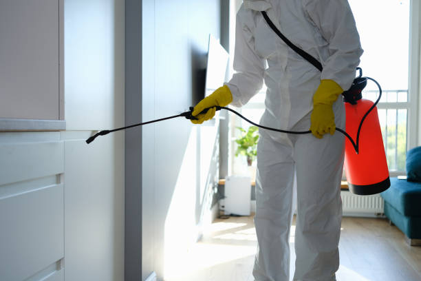 Best Residential Mold Removal  in Afton, WY