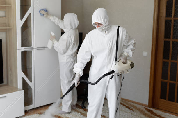 Best Commercial Mold Removal  in Afton, WY