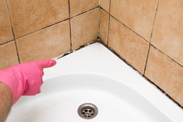 Best Mold Cleaning Services  in Afton, WY